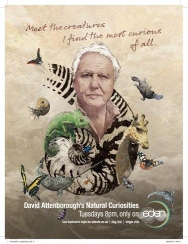 David Attenborough's Natural Curiosities httpsijededcomidavidattenboroughsnatural