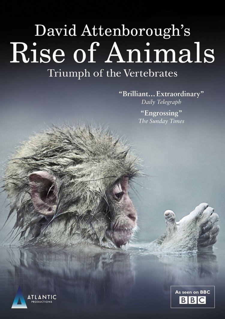 David Attenborough's Rise of Animals: Triumph of the Vertebrates documentaryvideosworldcomimagesriseofanimalsjpg