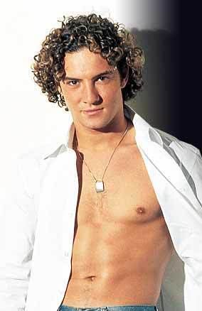 David Bisbal David Bisbal Probably one of the loveliest Hispanic singers besides