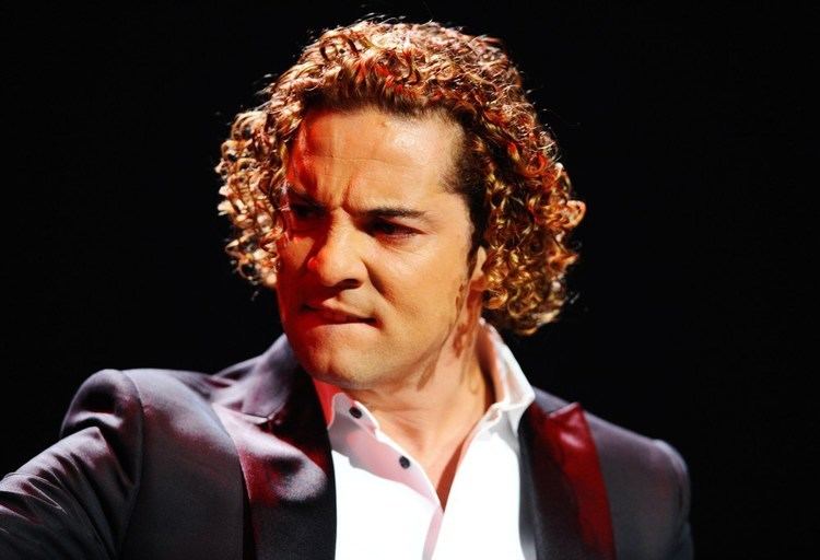 David Bisbal 22 Candid Facts On David Bisbal Fan World