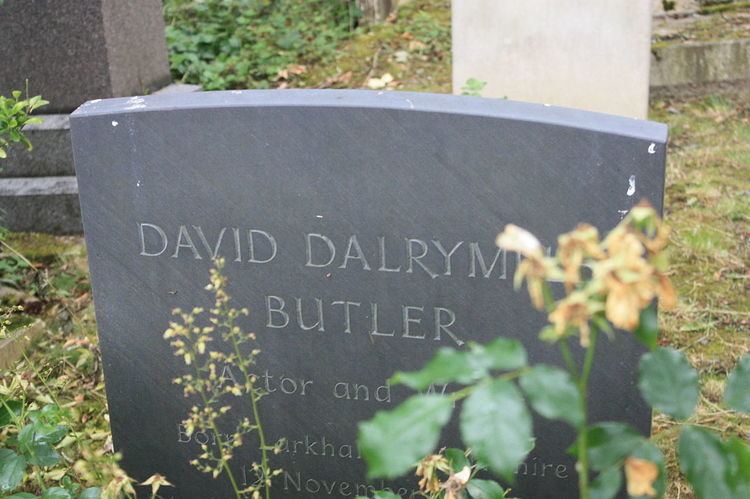 David Butler (screenwriter)