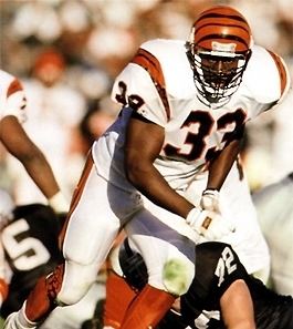 David Fulcher Stripehype Interview with Former Bengals Great David