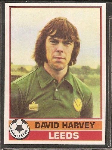 David Harvey (footballer) httpssmediacacheak0pinimgcom736xb172b5
