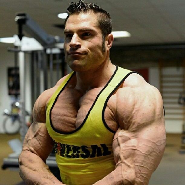 David Hoffmann (bodybuilder) musclemeccacomimportedimages201310138417610