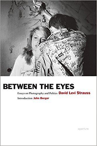 David Levi Strauss Amazoncom David Levi Strauss Between the Eyes Essays on