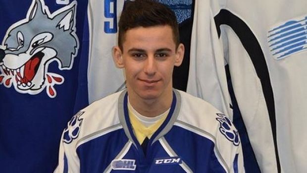 David Levin (ice hockey) Sudbury Wolves pick David Levin in OHL draft Sudbury