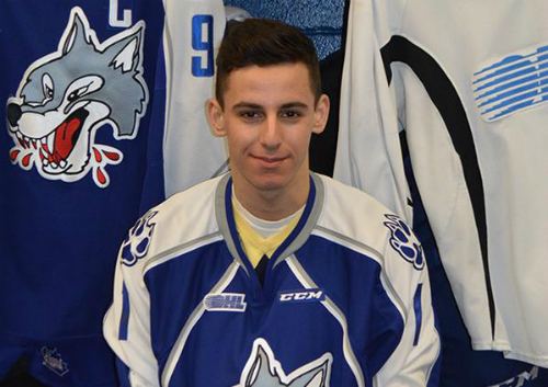David Levin (ice hockey) TheScoutca OHL Draft Rankings Wolves announce David