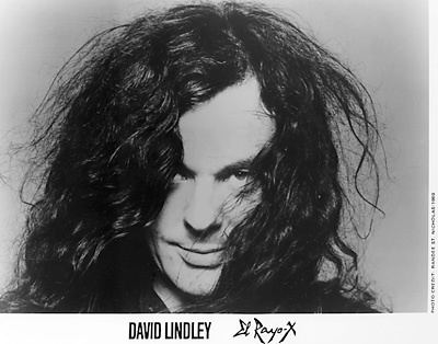 David Lindley (musician) David Lindley ARTISTdirect