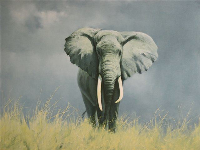 David Shepherd (artist) David Shepherd prints wise old elephant