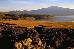 Davis Lake volcanic field httpsuploadwikimediaorgwikipediacommonsthu