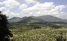 Davis Mountains httpsuploadwikimediaorgwikipediacommonsthu