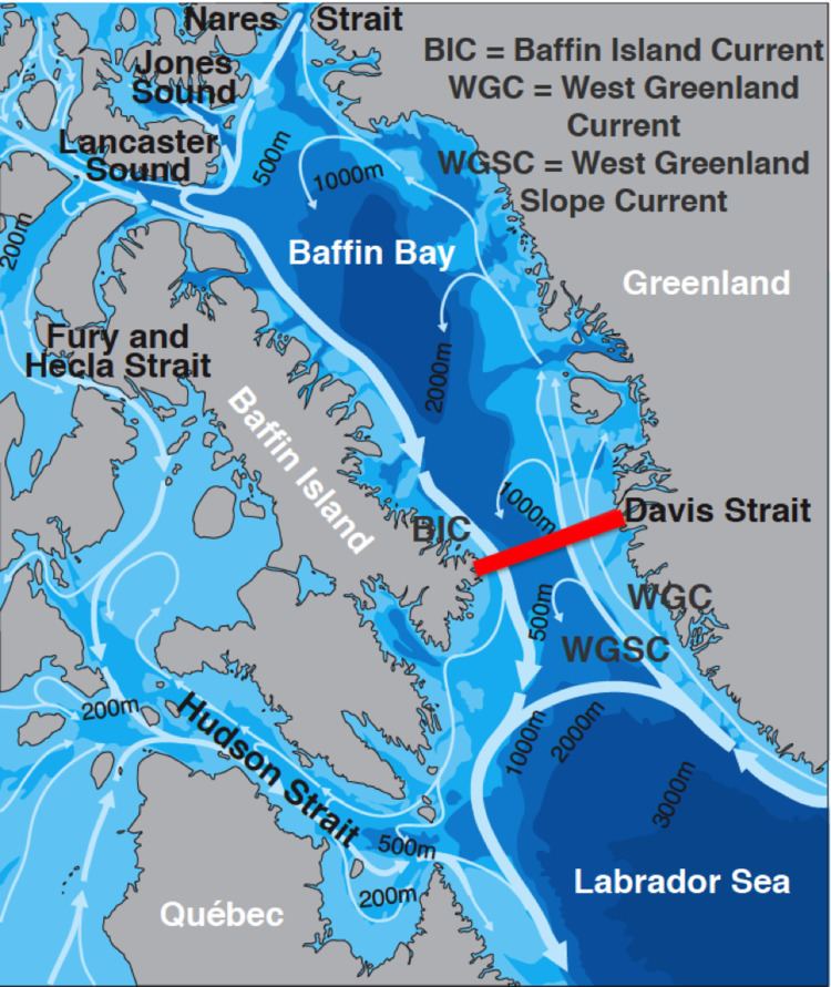 Davis Strait Nearing the End Davis Strait 2015 Chief Scientist and Guest