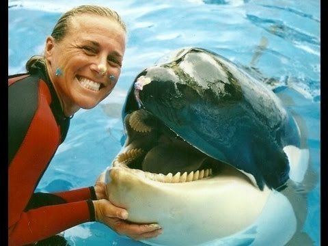 Dawn Brancheau smiling with a big Orca at SeaWorld, Orlando, Florida, and wearing a black and red wetsuit.