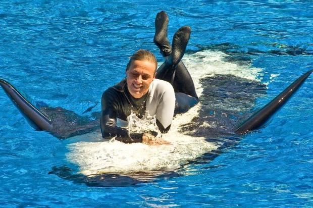 Dawn Brancheau smiling while lying on top of a big Orca at SeaWorld, Orlando, Florida, and wearing a black and white wetsuit.