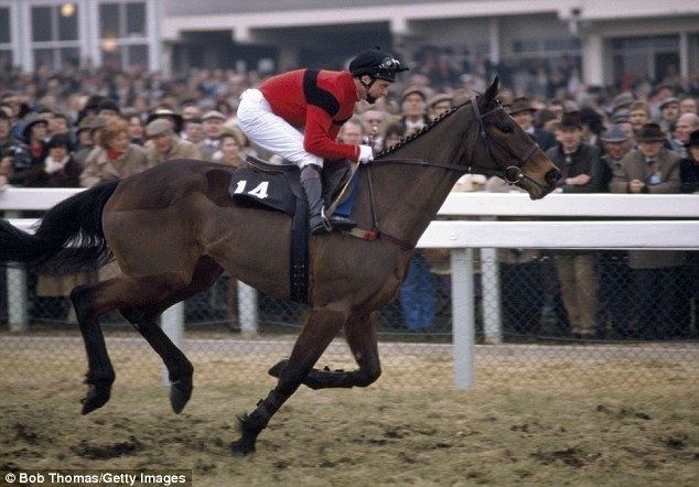 Dawn Run Dawn Run remains the only horse to win both the Champion Hurdle and