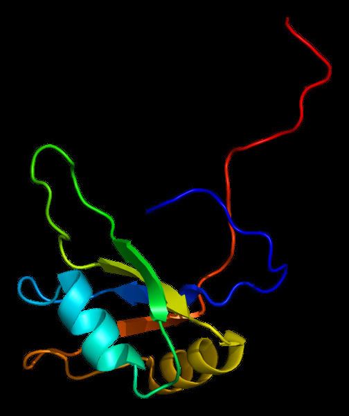 DAZ associated protein 1