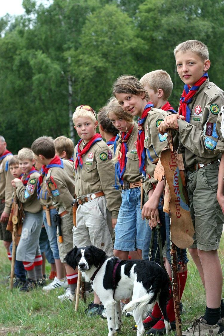De Gule Spejdere i Danmark – Baden-Powell spejderne
