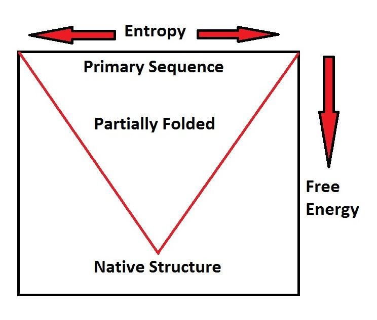 De novo protein structure prediction