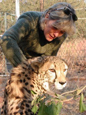 De Wildt Cheetah and Wildlife Centre De Wildt Cheetah and Wildlife Centre switches to Identipet