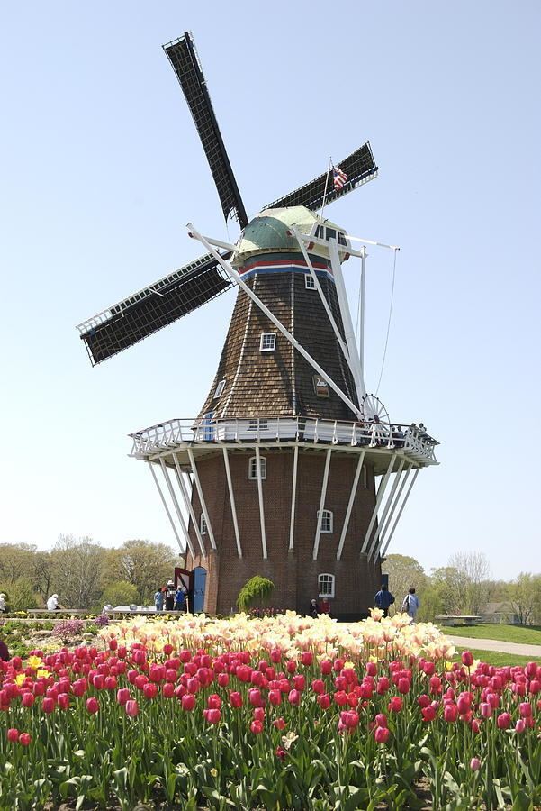De Zwaan (windmill) httpss4postimgorghu5qva2p9dezwaanwindmill