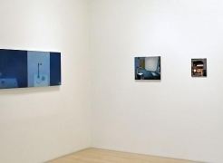 Debra Bermingham Exhibitions DC Moore Gallery