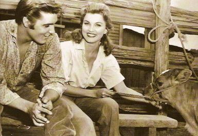 Debra Paget Debra Paget Elvis Presleys First Leading Lady