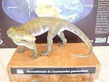 Decuriasuchus httpsuploadwikimediaorgwikipediacommonsthu