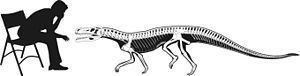 Decuriasuchus Decuriasuchus Wikipedia la enciclopedia libre