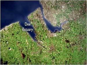 Dee Estuary BBC Nature39s Calendar