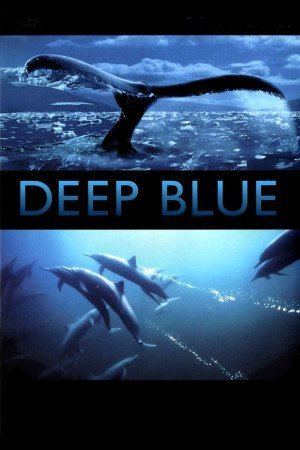 Deep Blue (2003 film) Deep Blue 2003 The Movie Database TMDb