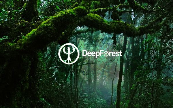 Deep Forest staticwixstaticcommedia71f171834fc9e1a0664845