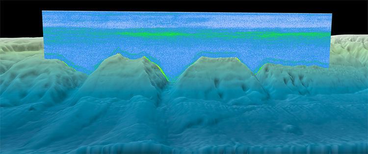 Deep scattering layer