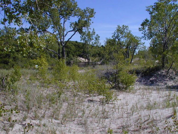 Deer Creek Marsh Wildlife Management Area
