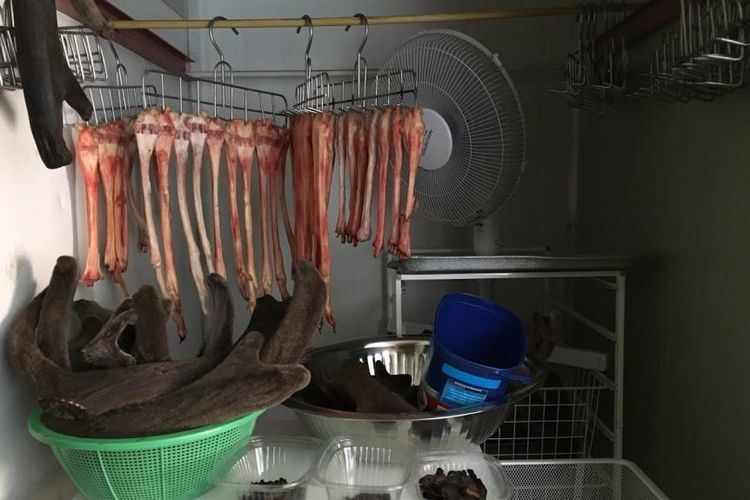 An assortment of deer products and antlers in a cool room.