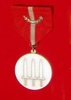 Defence Service Medal with Laurel Branch