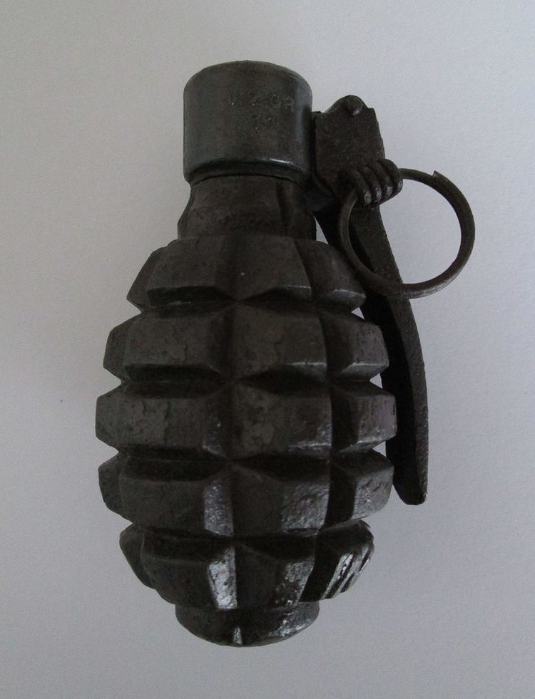 Defensive grenade wz. 33