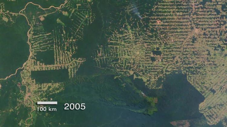 Deforestation Of The Amazon Rainforest 29bbc8cc B250 4b86 B4f9 88d960ac6c3 Resize 750 