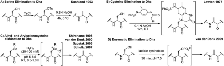 Dehydroalanine Methods for converting cysteine to dehydroalanine on peptides and