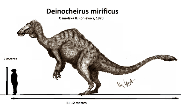 Deinocheirus deinocheirus DeviantArt
