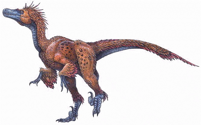 Deinonychus wwwdinosaurworldcomfeathereddinosaursspecies
