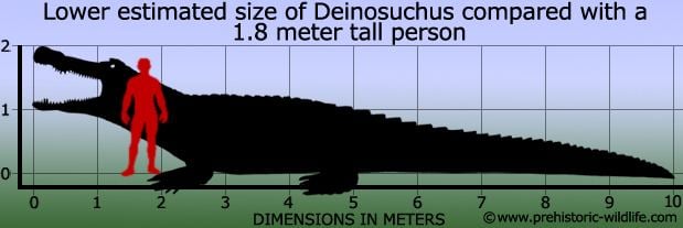 Deinosuchus Deinosuchus