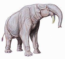 Deinotherium httpsuploadwikimediaorgwikipediacommonsthu