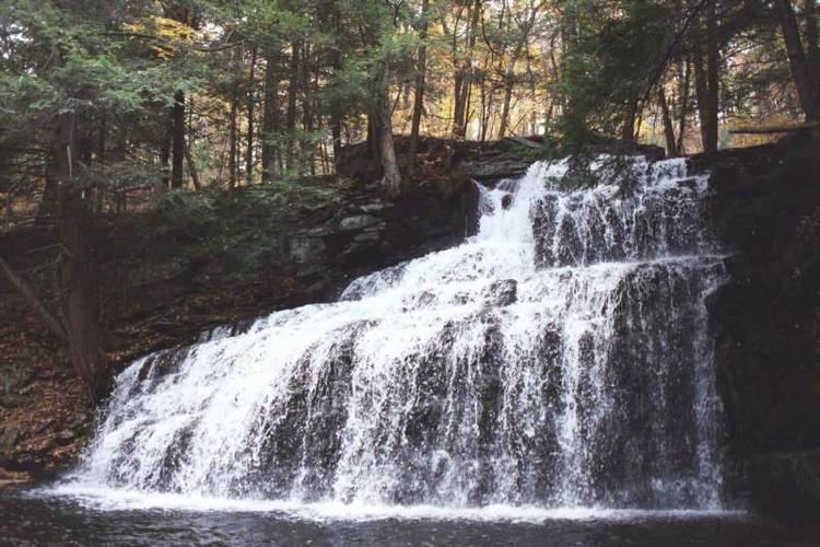 Delaware State Forest Waterfalls of Pennsylvania Poconos North