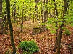 Delaware Township, Pike County, Pennsylvania httpsuploadwikimediaorgwikipediacommonsthu