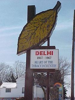Delhi, Ontario httpsuploadwikimediaorgwikipediaenthumbd