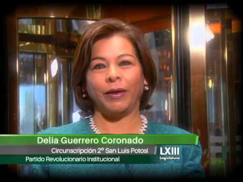 Delia Guerrero Coronado Dip Delia Guerrero Coronado PRI YouTube