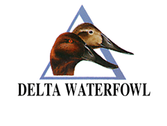 Delta Waterfowl Foundation wwwmossyoakcomimagespartnersdeltawaterfowlt