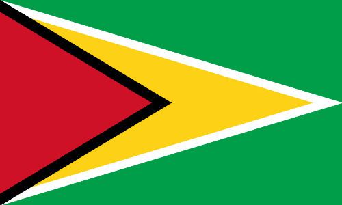 Demographics of Guyana httpsuploadwikimediaorgwikipediacommons99
