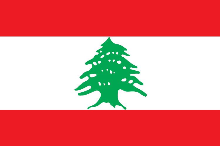Demographics of Lebanon httpsuploadwikimediaorgwikipediacommons55