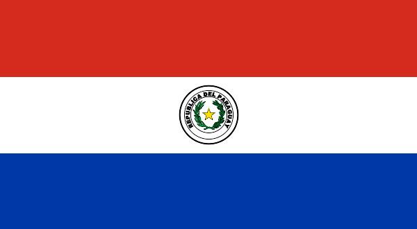 Demographics of Paraguay httpsuploadwikimediaorgwikipediacommons22